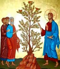 Granos de mostaza y la fe