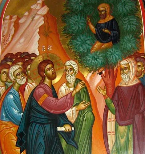 Zaqueo subido al árbol